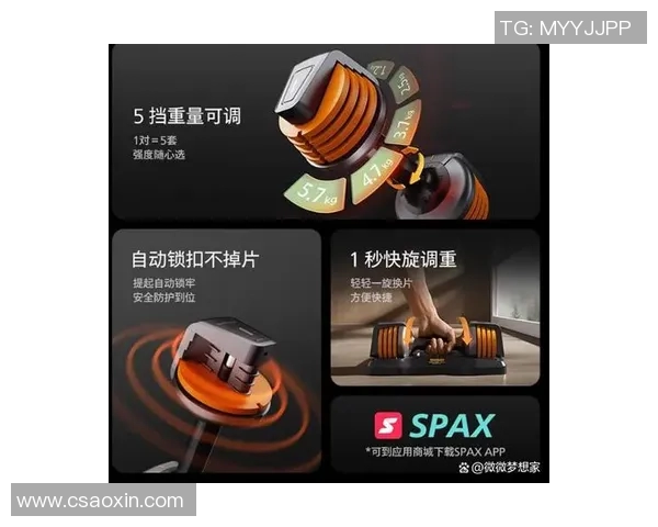 提升力量与塑形的最佳选择健身器材哑铃的全面解析与使用技巧